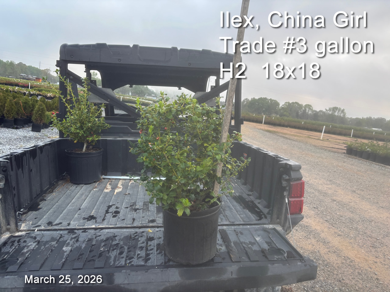 gallery/cg3t h2 mar25.jpg